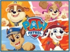 Bobina TNT Patrulha Canina 1,00m X 1,40m Decoração de Festa Piffer Painel Gigante