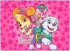 Bobina TNT Patrulha Canina Skye 1,00m X 1,40m Decoração de Festa Piffer Painel Gigante